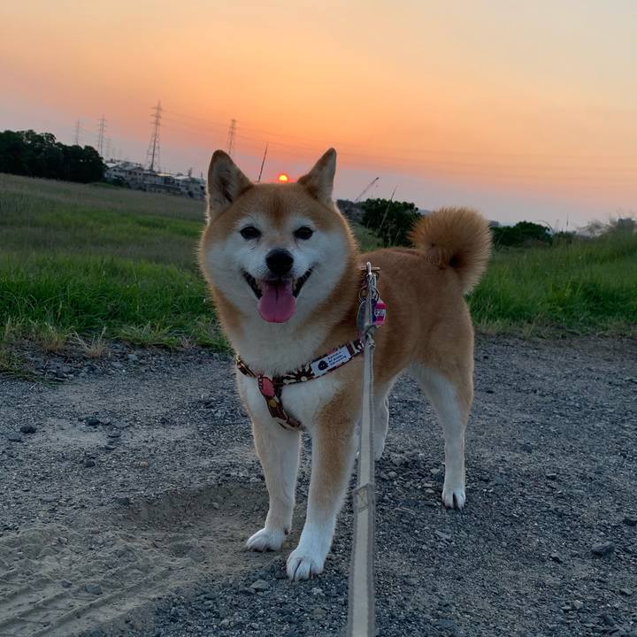 1b4480de ea64 4309 855d 49544e4bd6fc 1623404073049