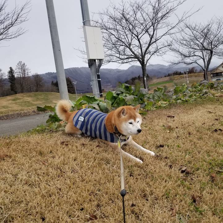 1b4481ca c286 4875 8bc0 425620eccfa9 1671080323458