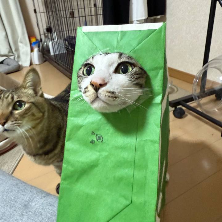 1b4487c2 f4eb 4754 9061 9542b39ae70c 1769701862001