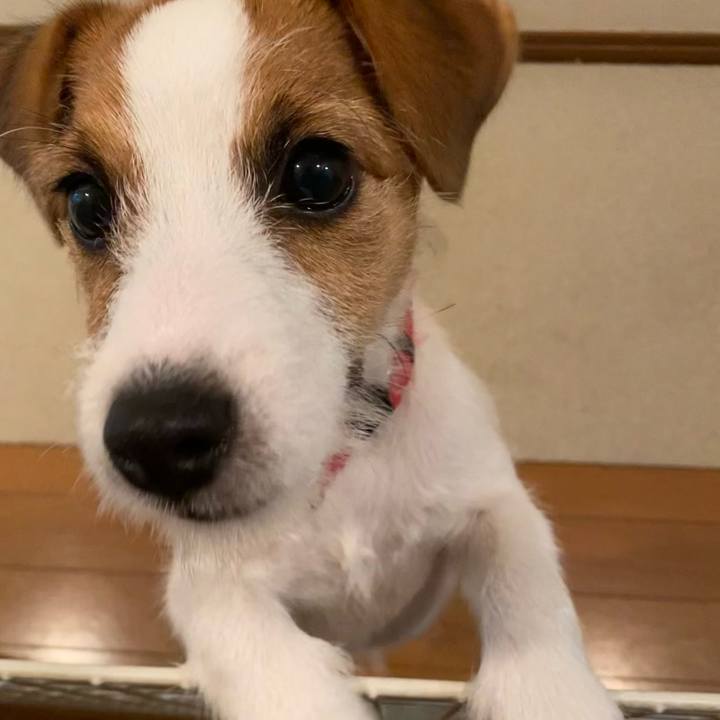 1b448b8c ccc2 4244 ab14 bccb6a8e9ab3 1616923550536