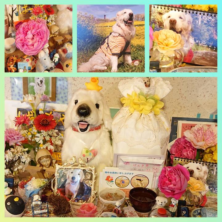 1b448e58 e299 463f abff 2b14562ad42c 1619735453741