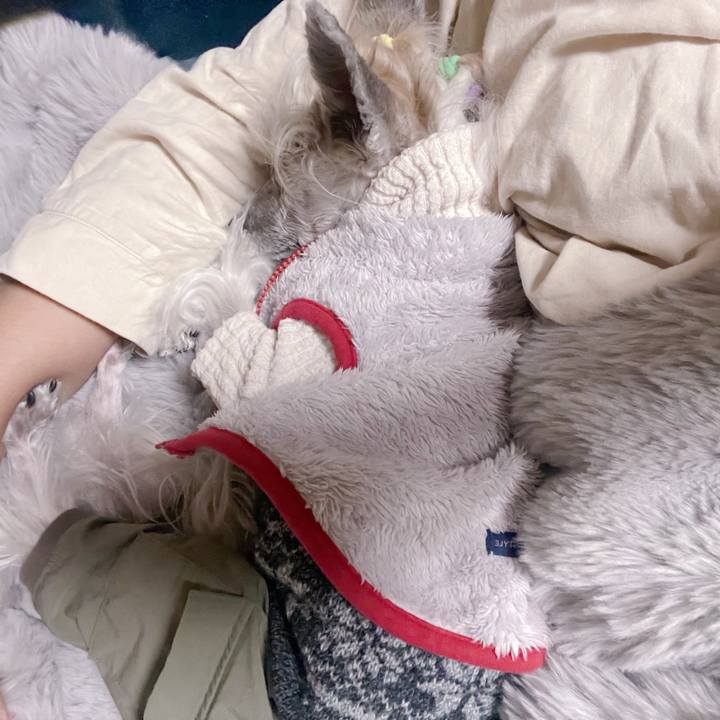 1b44a04b 1f75 457e a44d 1510ec89e46b 1762060041420