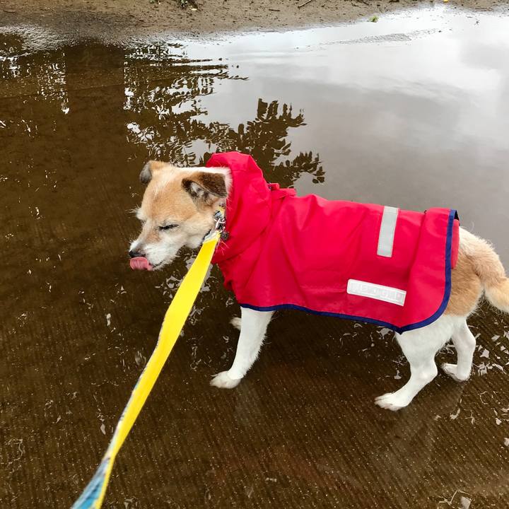 1b44c6e5 30e8 4007 a2af 09faa604806b 1627358414435