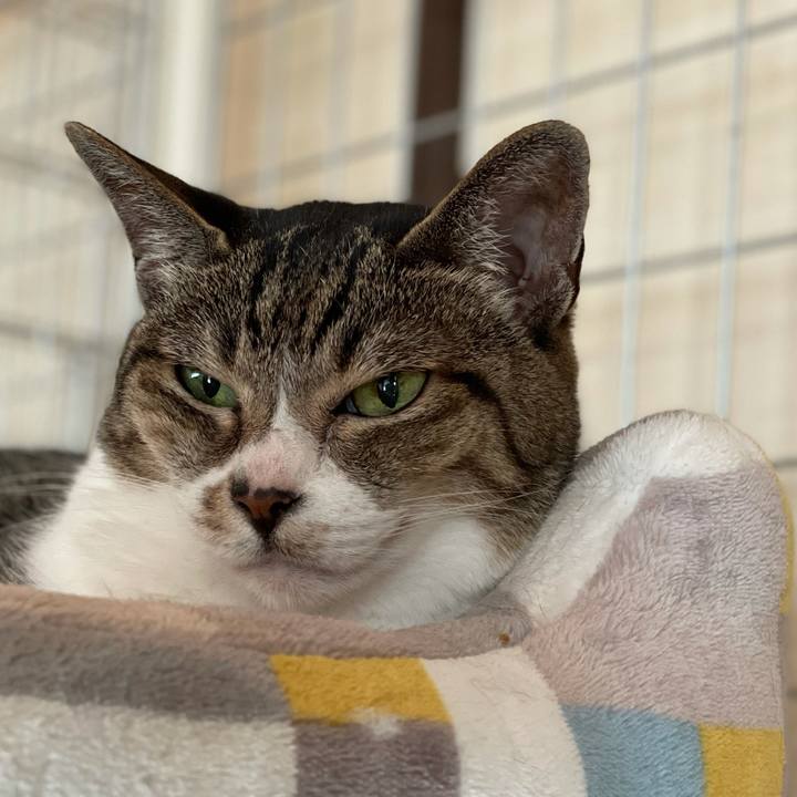 1b4542d6 fe8f 4f95 90ae f0214d756e59 1628210524322