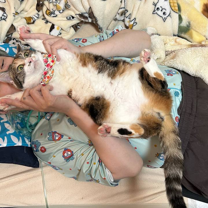 1b454639 847f 4cc5 b02e 1312f89b9936 1764289076293