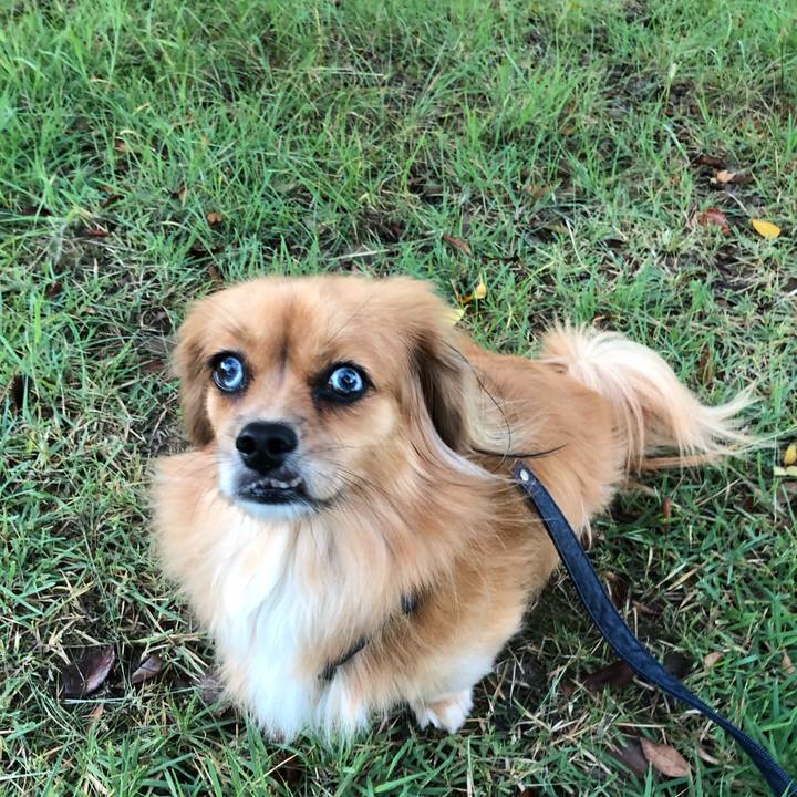 1b4551cc 849f 476e b7e4 2c645ef3712f 1569275393222