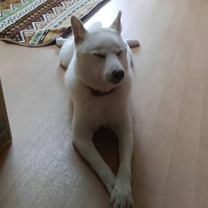 1b45a145 bef7 4378 84f2 99bc65cb3496 1511248945117