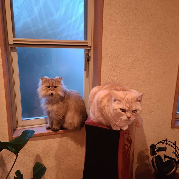 1b4625c7 c749 4ced b9a5 6e307467d18d 1616577536645