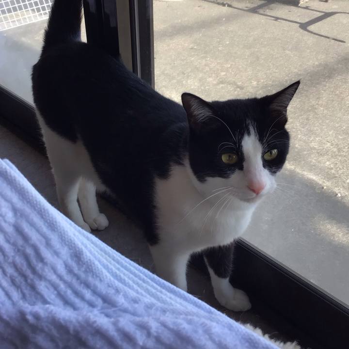 1b4665f9 2eb6 4cf0 87ab f0732a81e0a5 1682158350315