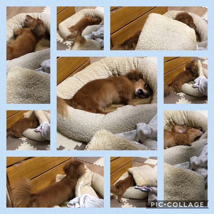 1b4666d9 e0d6 4219 9346 5d2ddd7ef9d2 1592920747539