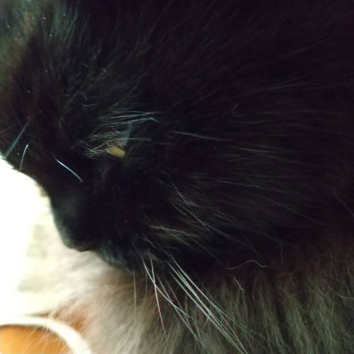 1b46c3af 6d42 4424 a5e0 0a572e761480 1630824124325