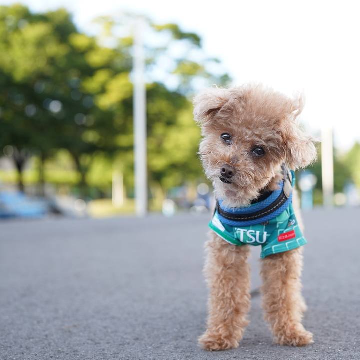 1b46e66d 429b 4fc0 9cf9 e3991329e5c9 1665299186379