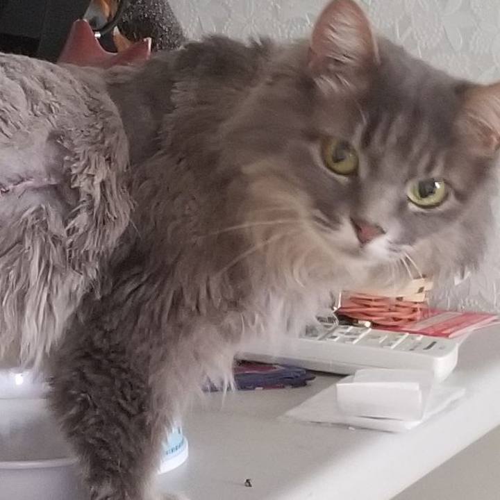 1b46ff1f ba24 4921 a99e 65b593a57a97 1561946636097