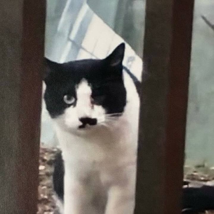 1b470a19 7e77 4e4a 81aa b20486bb57cb 1756691796178