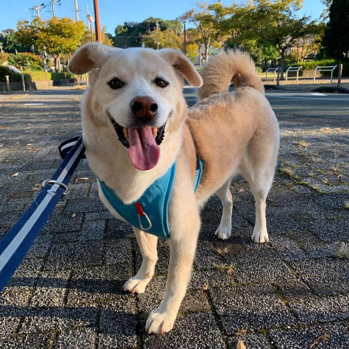 1b470a26 7ff2 412d 897f 1d8d959e2e18 1665706406061