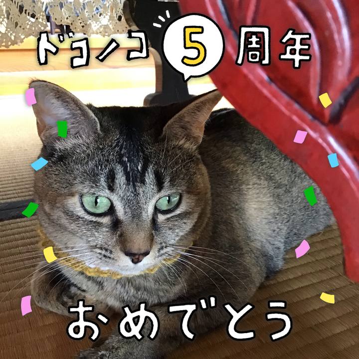 1b473930 7097 4648 8ef7 d1d3d3289c57 1622870971762