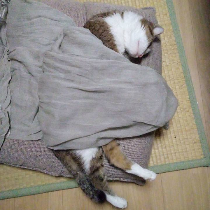 1b475663 82d7 4815 b2a3 3b4cf5722712 1539348410032