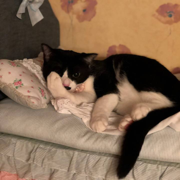 1b4774c6 25bc 4a07 ab9c 2be739cc7898 1540444501934