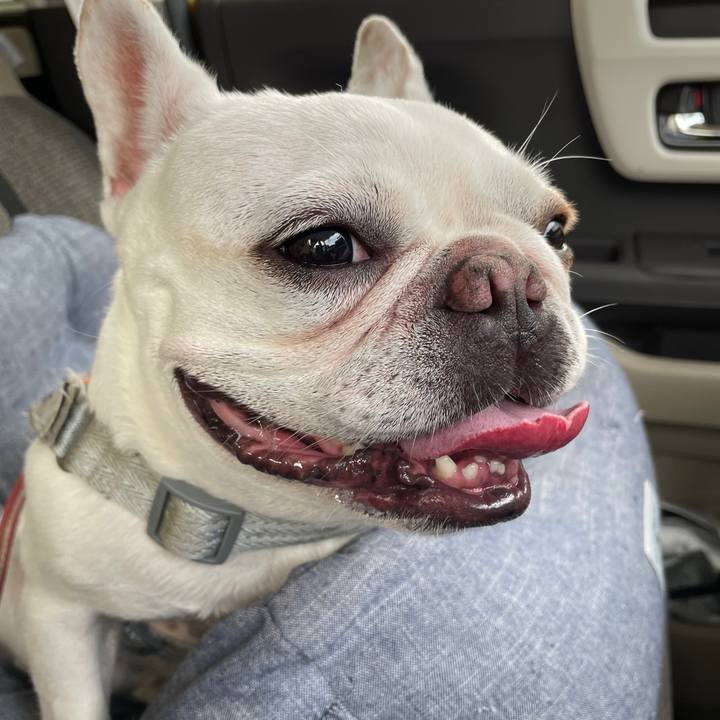 1b477877 762b 4663 b430 e2d8209dcd14 1758494513540