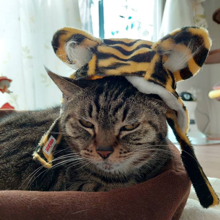 1b478299 4ffa 4acc 85ee daa7a17cb39f 1641013364976