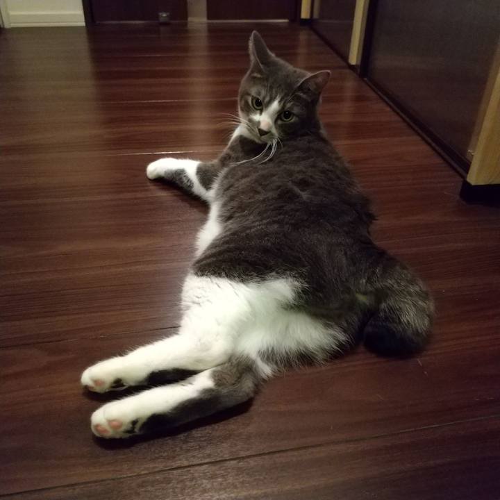 1b47b006 6c7f 4d0b 9f9b f84a3e96f425 1608635620552