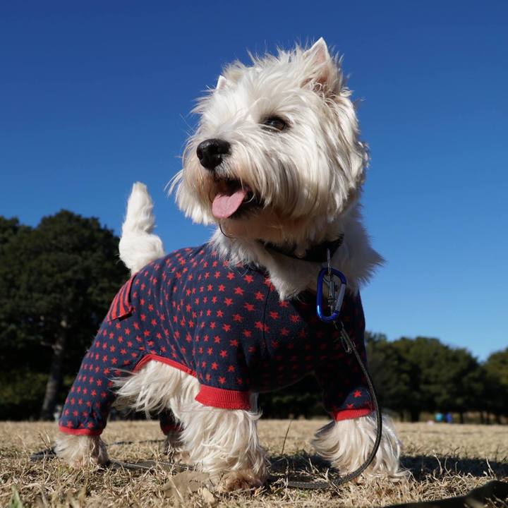 1b47bc66 6023 41fb a402 8d5d59a0e8fc 1514418500807