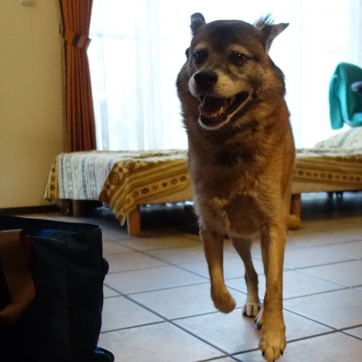 1b47bcc8 8943 4697 adcd da82d095aa27 1645059358571