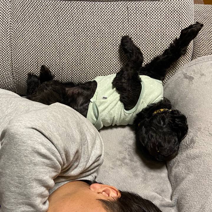 1b47c5a6 72e3 414d 9ea1 a226c460519c 1582984435220