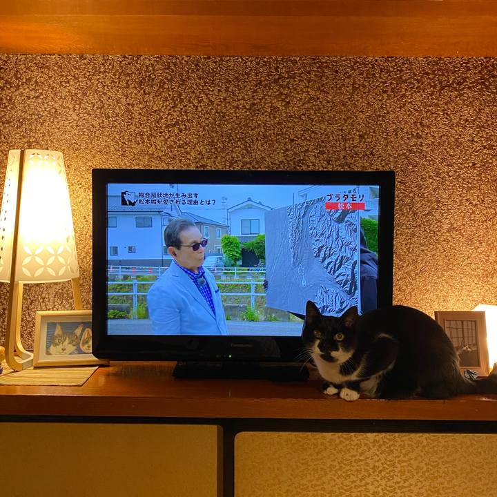 1b47e036 2fcf 46f6 9abf c30116911f9f 1631357993255