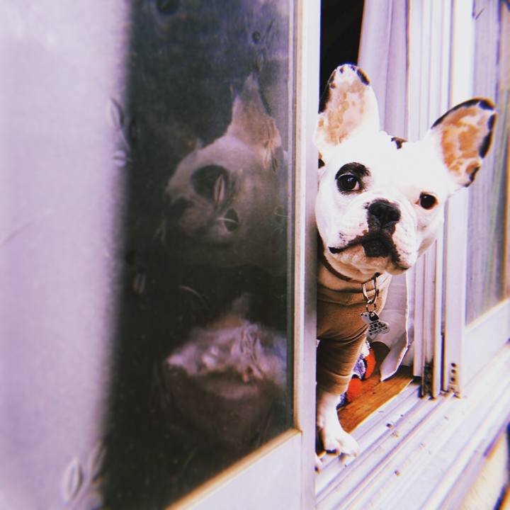 1b48ae99 d4e6 4518 ab11 941c7a490191 1511066132222