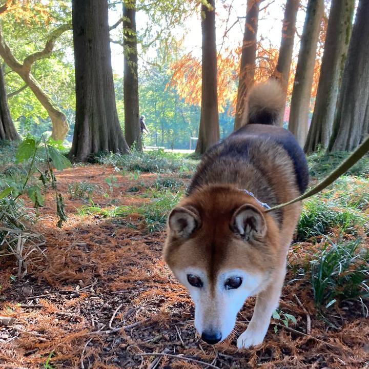 1b48bb3d 6a3f 48ab b449 3ec96299bd04 1667977413592