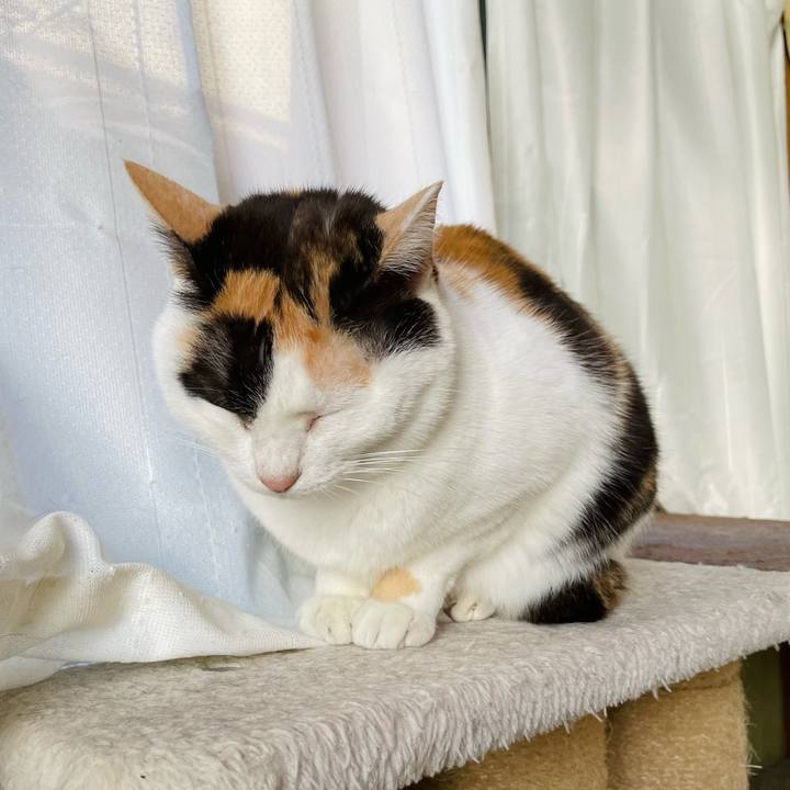 1b48c598 91fd 490b 83cb 79cbb8376a31 1647742034044