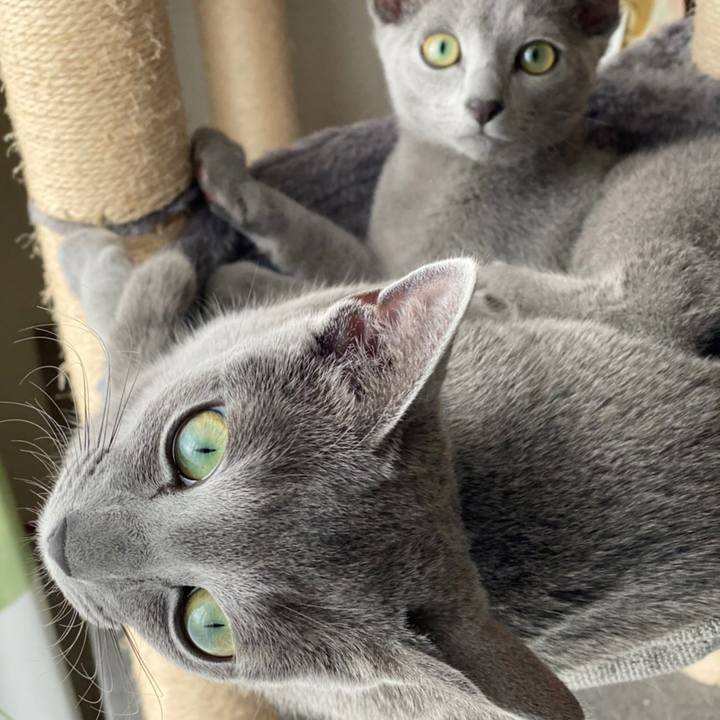 1b48dbb1 54fb 4a99 be5c 74a6a4e78d0c 1606658294043