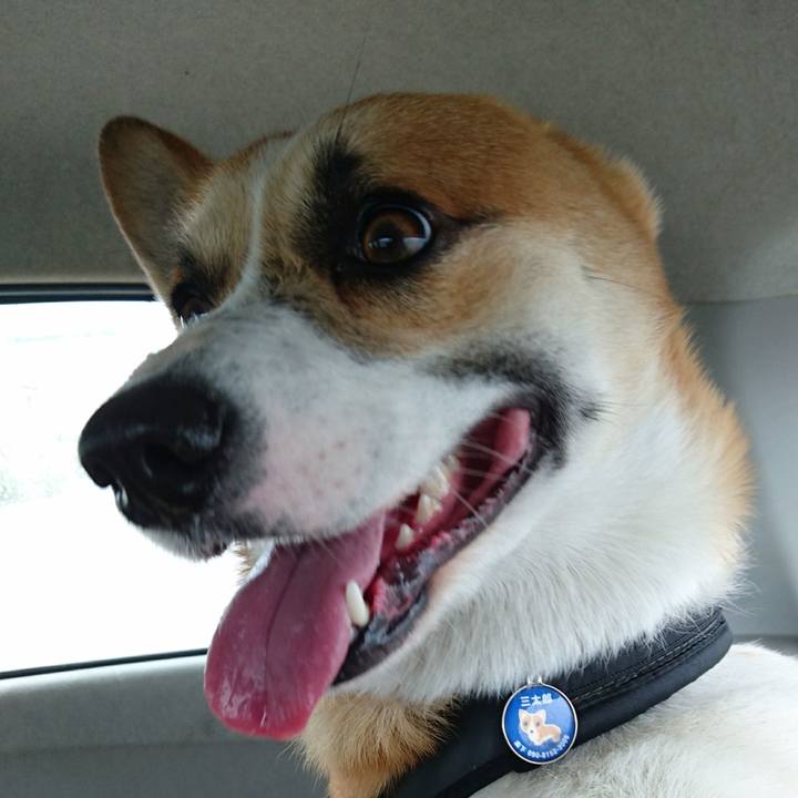 1b491799 6d0b 48da 82e8 934ed3bd1661 1621214433914