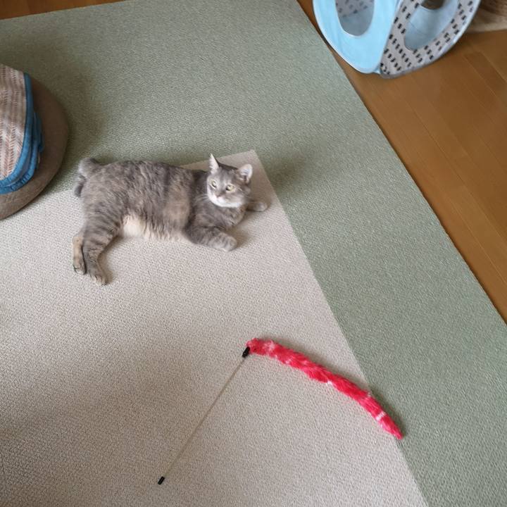 1b491b41 08d2 4a11 9b27 51b2e9d3c384 1591157005141