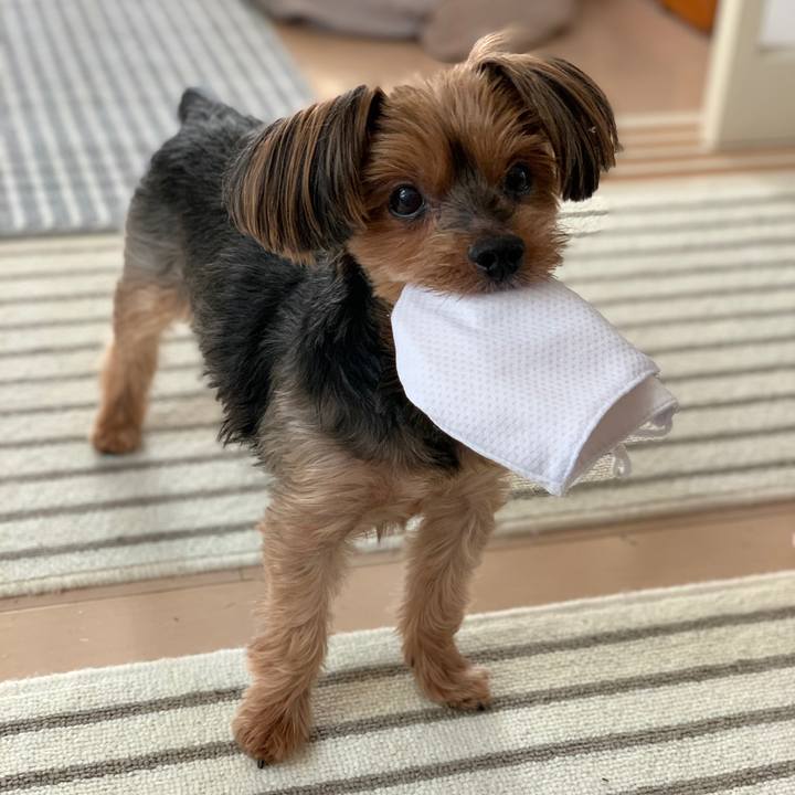 1b494b1e b74c 44a2 a122 cb84c78dd61a 1639194961330