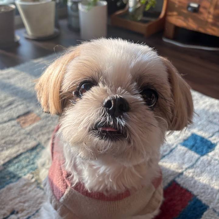 1b498060 6c9f 4fa4 bcbd d791fbbc4955 1771024631544