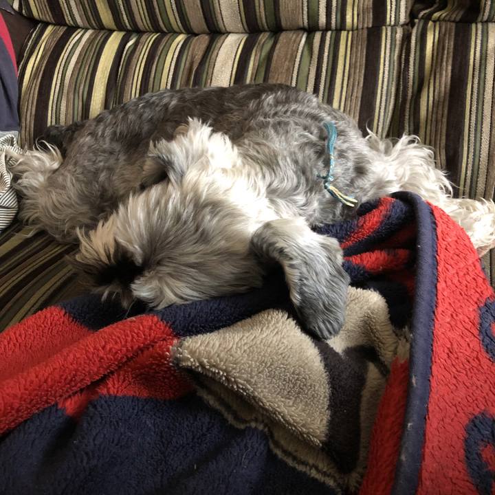 1b498352 9a52 4b97 90a7 d7033c903d87 1588218447930