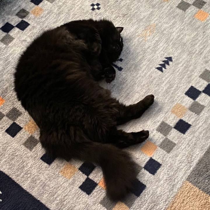 1b498fe6 ea8c 43cb b204 2a9c9c619a53 1592028945742