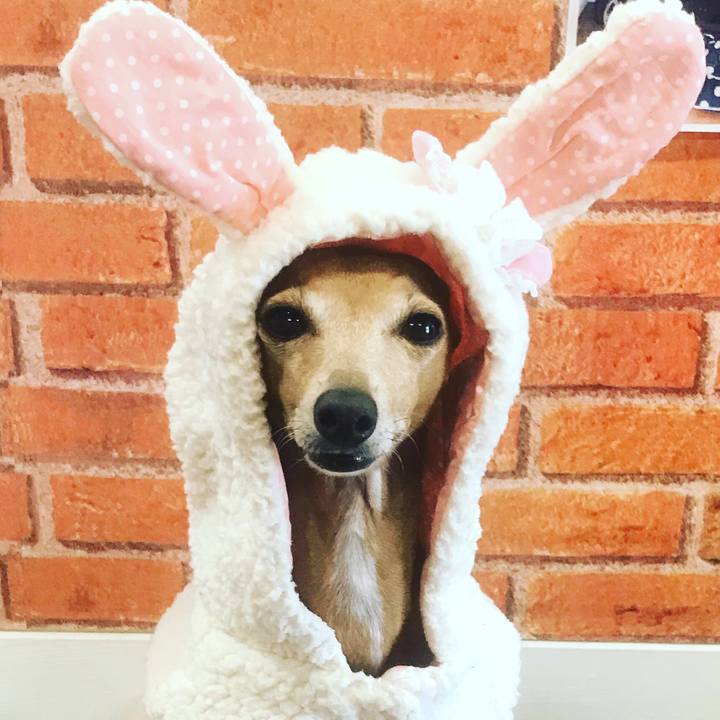 1b49d4b0 eb82 43ea a594 345c9cf698aa 1522043079769