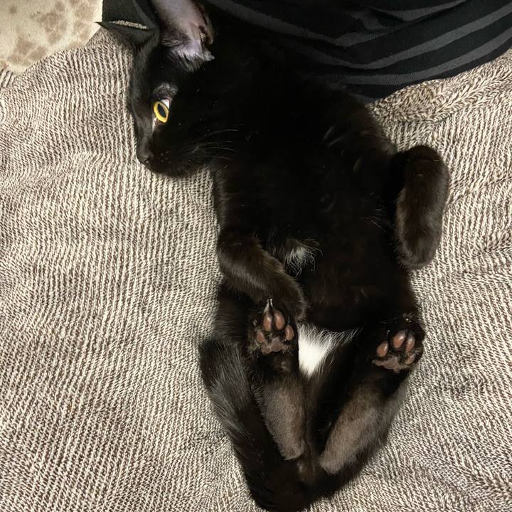 1b49f2ac 3bbb 4d16 aacb e0ccb2fbfb7b 1616670761833