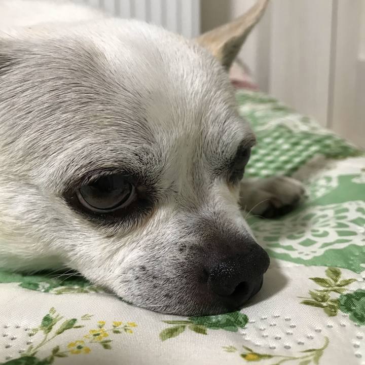 1b49fd4b 140e 4720 aef5 3ba1e3e31394 1634105036300