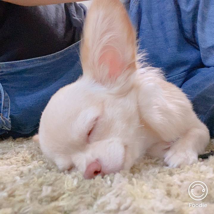 1b4a225d 2996 444f ba17 6c484d5b89a5 1599877130140