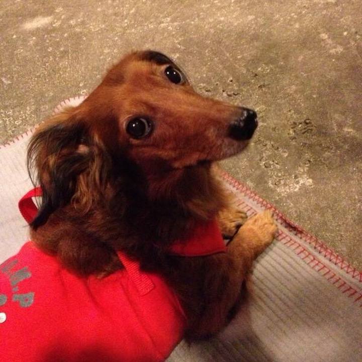 1b4a512c a92e 44e0 92a5 6923ce5f4694 1764499585297