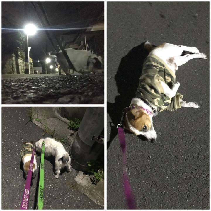 1b4a6360 70d2 4436 8efd 4ea75c69e9be 1531486202782