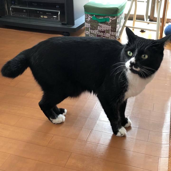 1b4a8528 19aa 465e bda3 4037e9d28518 1648524376625