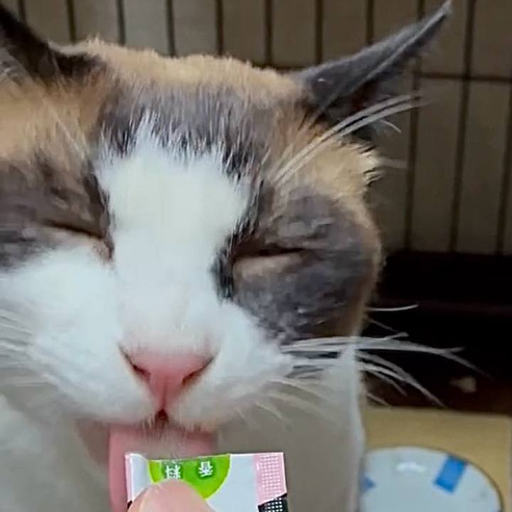 1b4a9734 04ce 4114 a65a 66c7ffeeb121 1752831221537