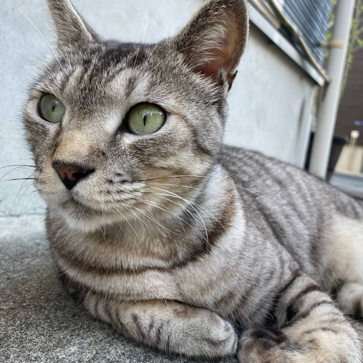 1b4b031d 751c 4ffb 8136 676a0048a6db 1666508143292