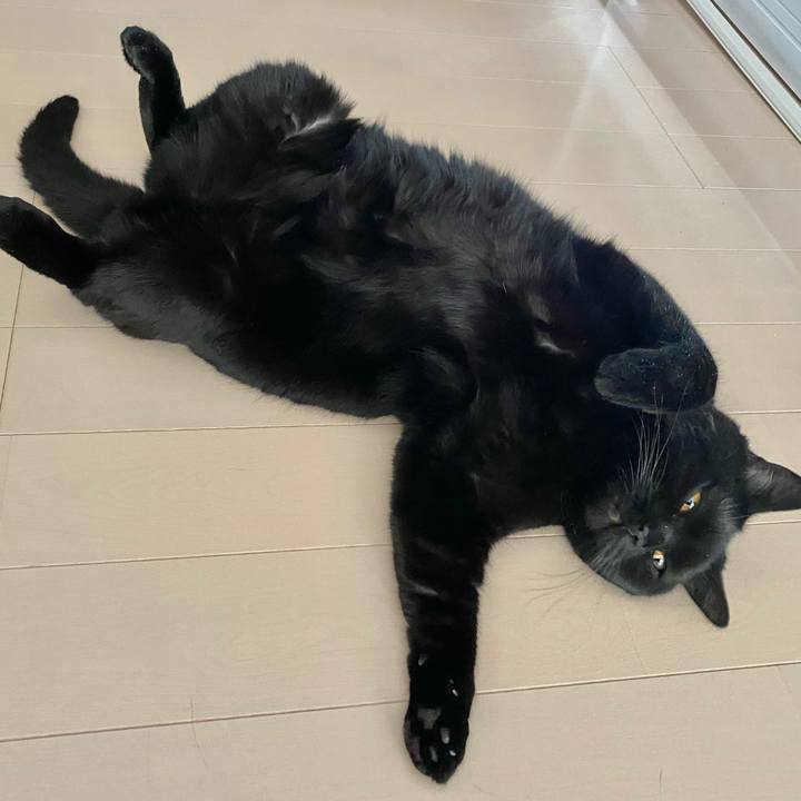 1b4b1270 2e7c 4611 b792 2eeffbfb83a1 1620358103341