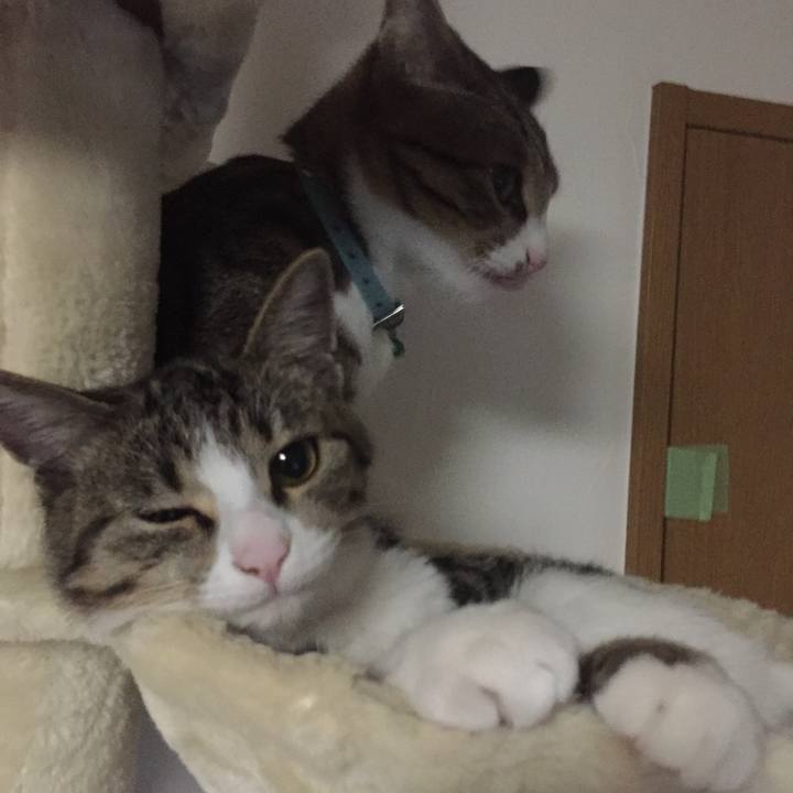 1b4b6d46 6eaf 4075 bb9e 553cd8ba178f 1658280005181